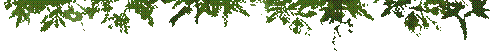 image012.gif
